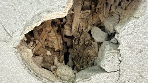 Stan elementów odsłoniętych podczas rozpoznania