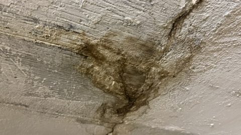 Zawilgocenie i ubytki wykończenia stropu
