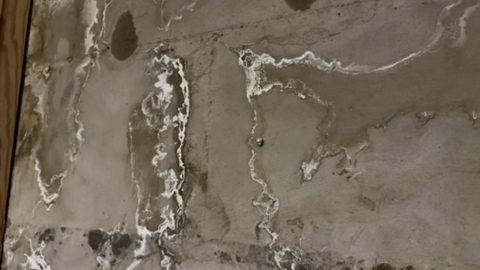 Ślady zawilgocenia i degradacji wyprawy